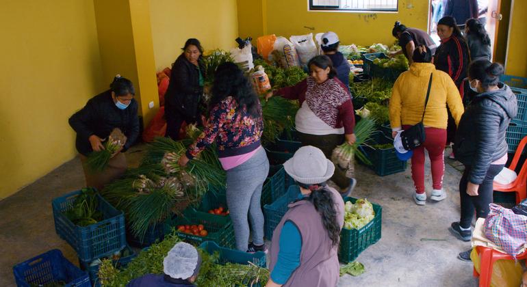 Peru’s food crisis grows amid soaring prices and poverty: FAO
